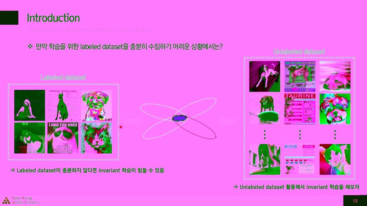 라벨 없는 데이터로 '스타일에 흔들리지 않는' 모델 만들기 — 비지도 도메인 일반화 세미나 영상 썸네일