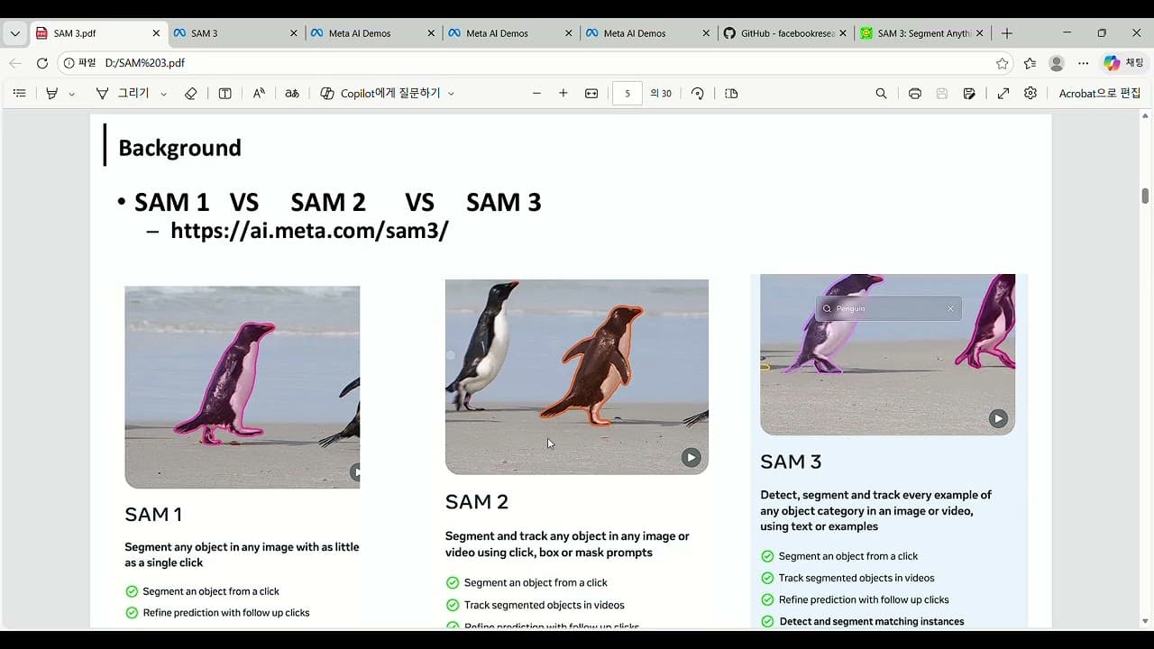 "펭귄"이라고 쓰면 영상 속 펭귄을 모두 찾아낸다, 메타 SAM 3 논문 뜯어보기 영상 썸네일