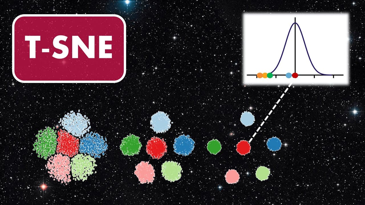 고차원 데이터를 지도처럼 펼치는 t-SNE, 원리부터 대규모 확장까지 영상 썸네일