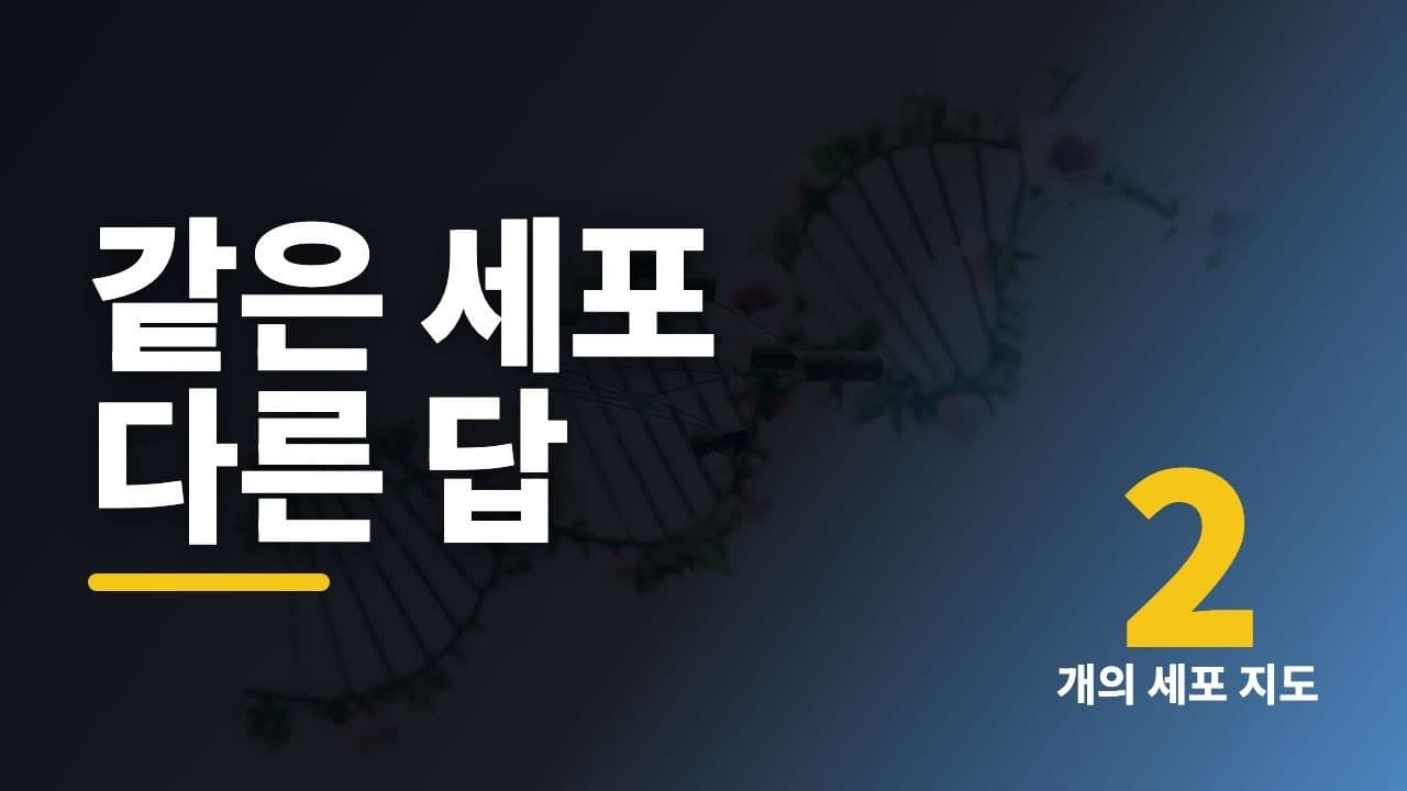 세포 8만 6천 개를 하나씩 읽었더니, 정체성의 지도가 두 갈래로 갈라졌다 영상 썸네일